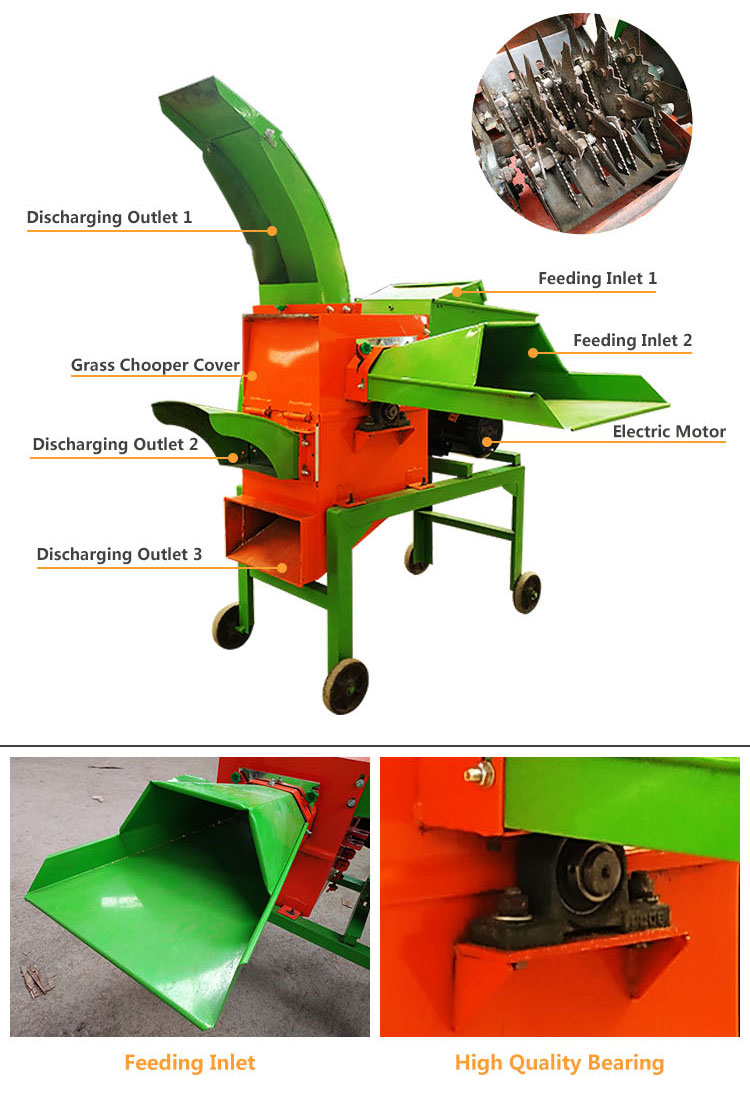 Innovative Rotary Egg Tray Machine for Efficient Production and Sustainable Packaging Solutions