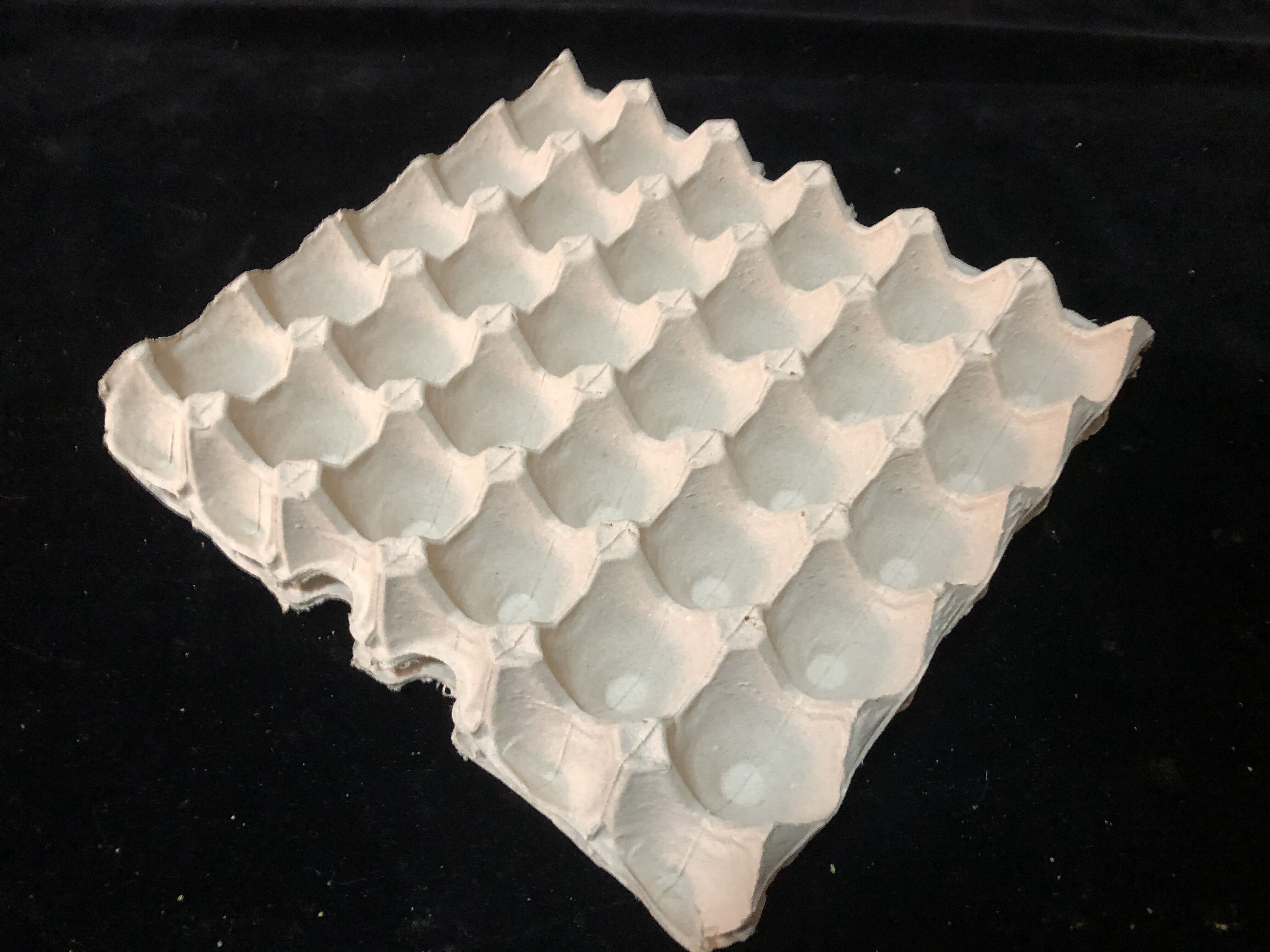 automatic slaughter line