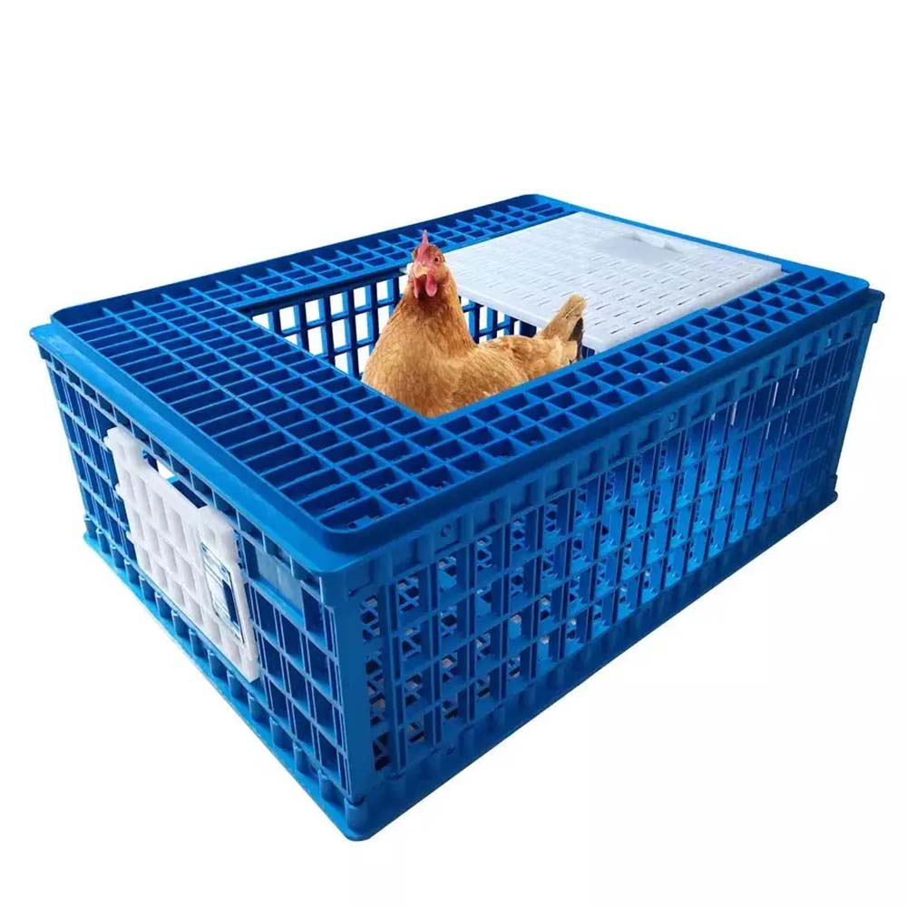 stackable chicken cages stackable chicken cages