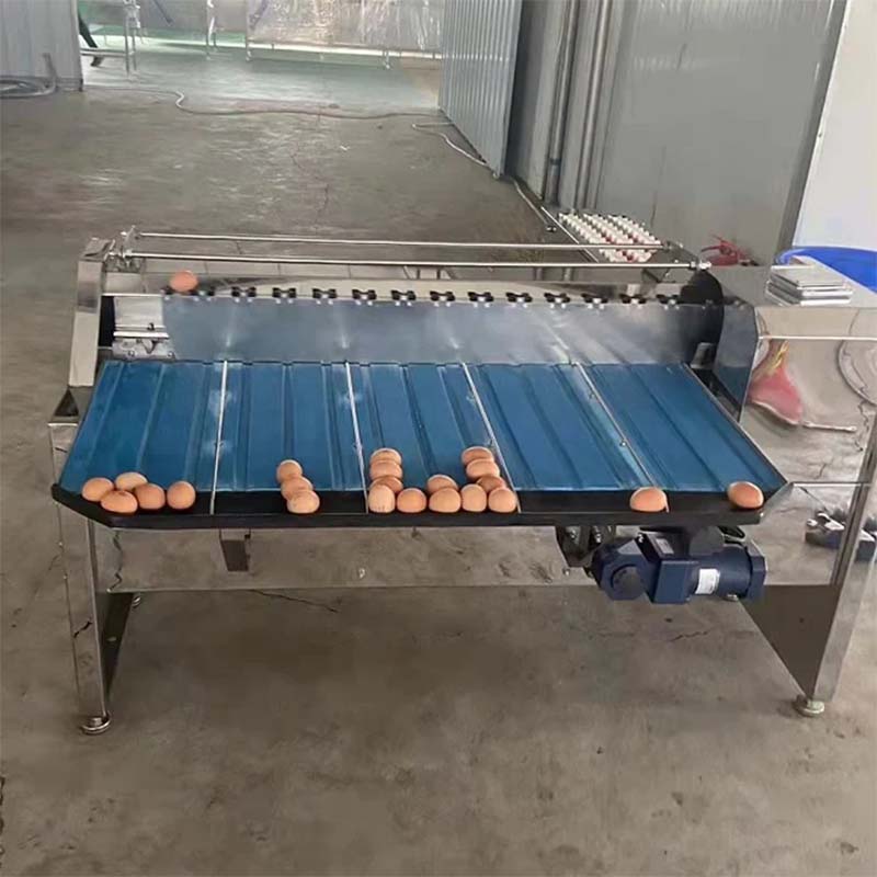 poultry cage feeders