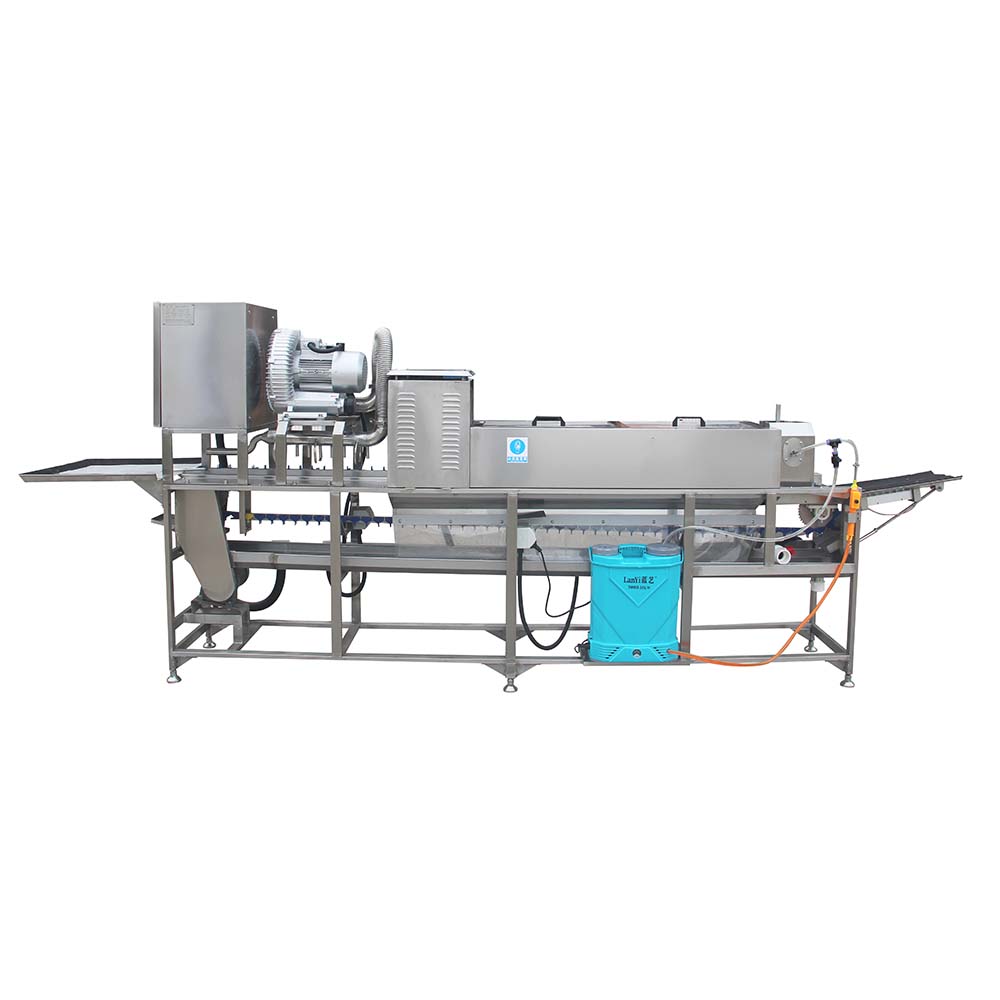 Top Vacuum Packaging Machines for Home Use to Keep Food Fresh