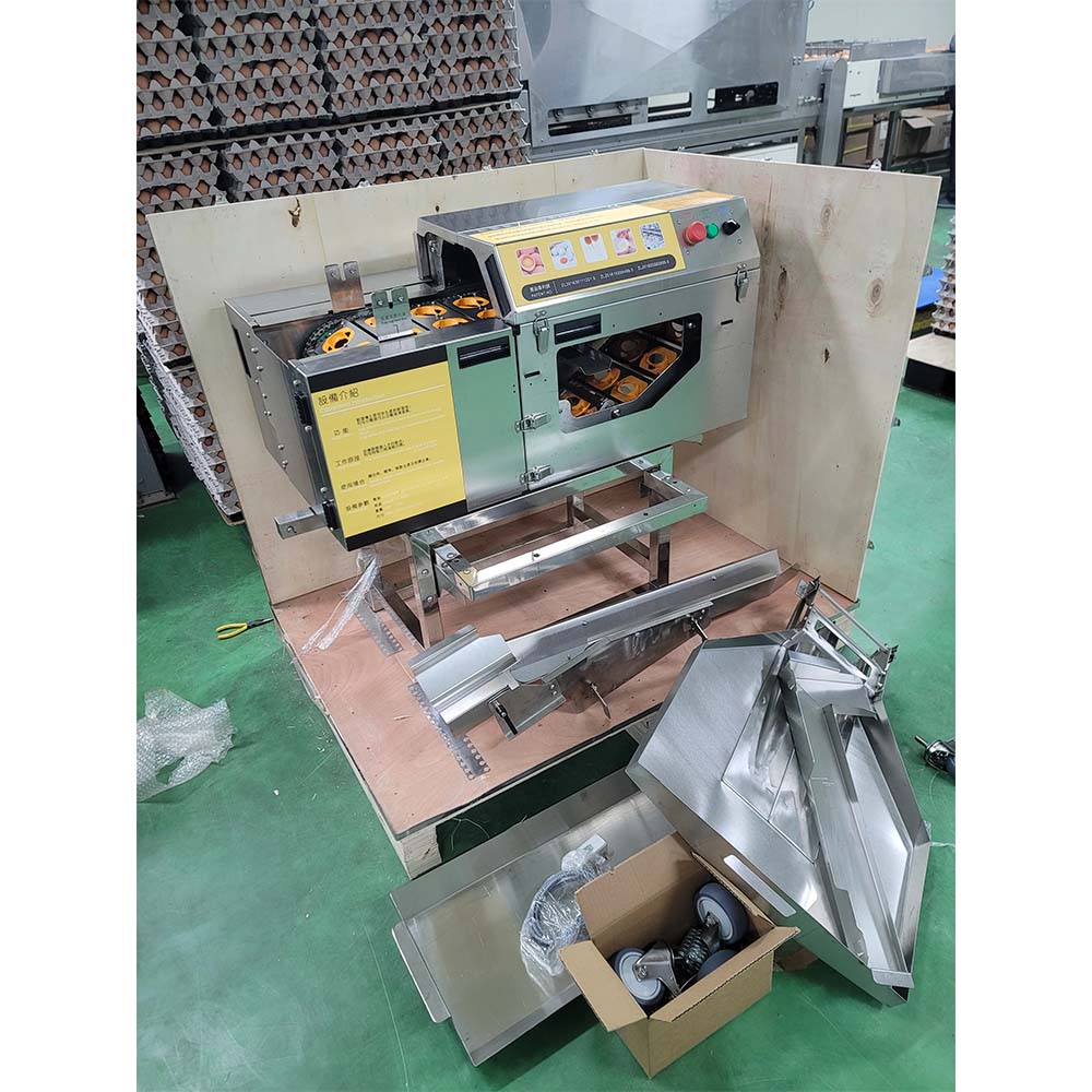 Creative Ideas for Rabbit Cage Stands and Optimal Housing Solutions