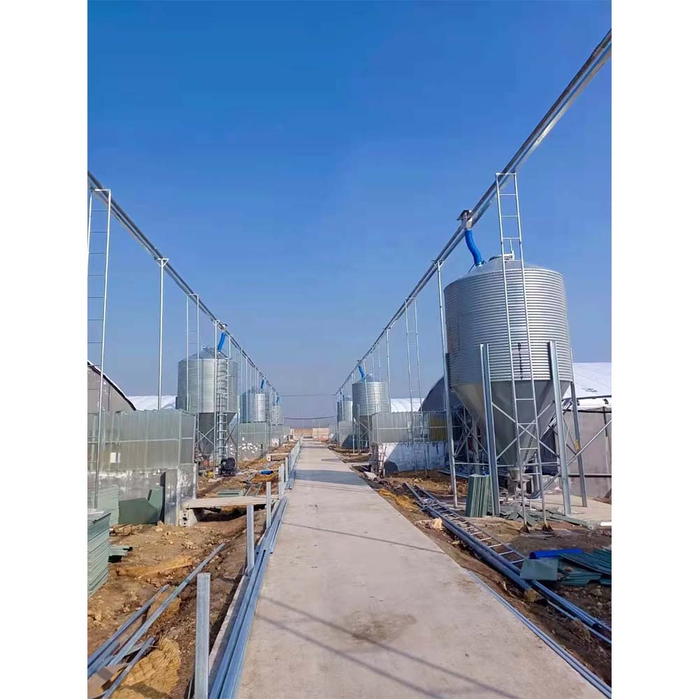 Exploring the Benefits and Welfare of Poultry Chicken Cage Systems in Modern Farming Practices