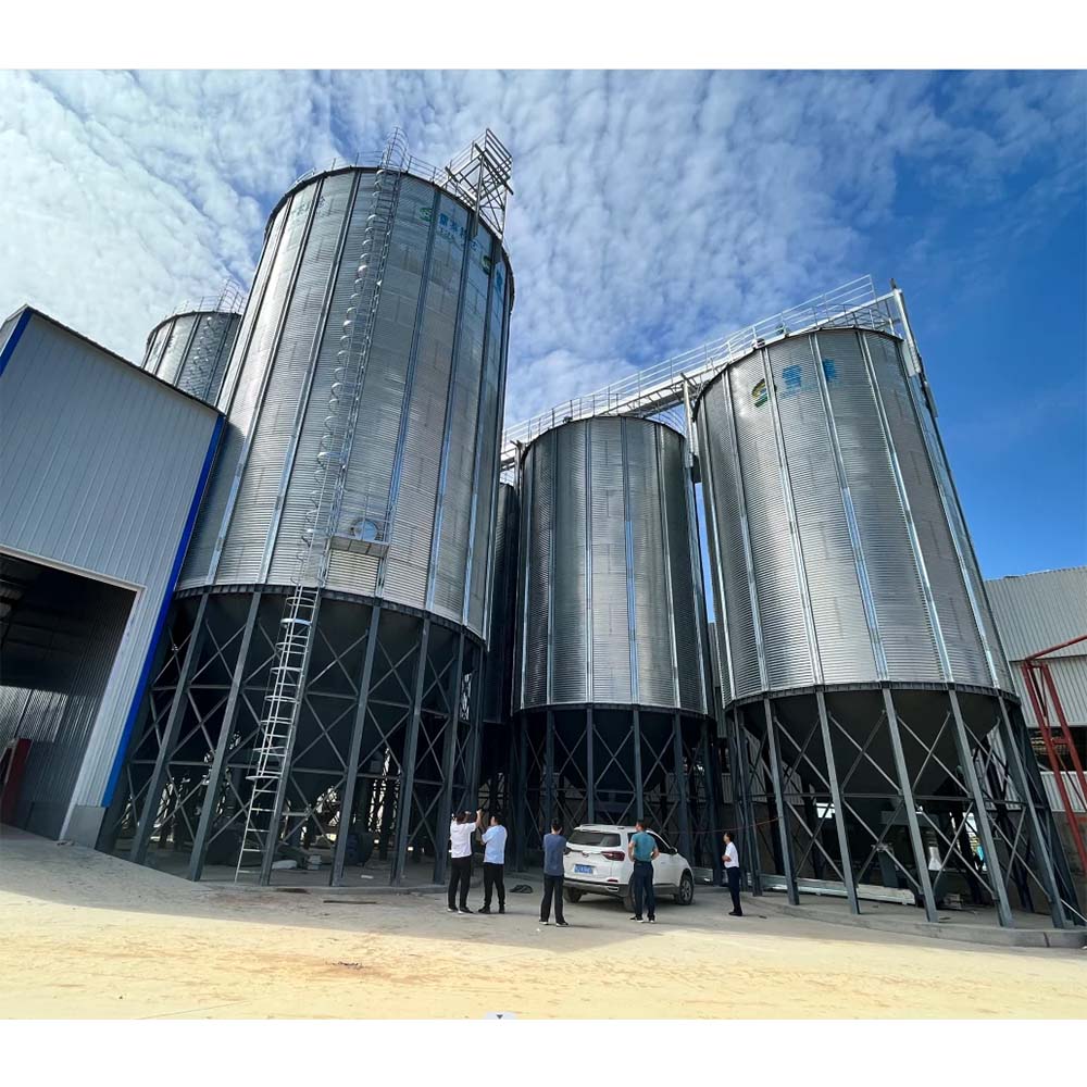 Design and Efficiency of Poultry Transport Cages for Broiler Chicken Transportation and Welfare