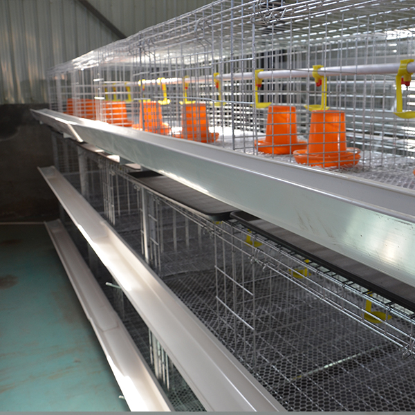 automatic poultry cage automatic poultry cage