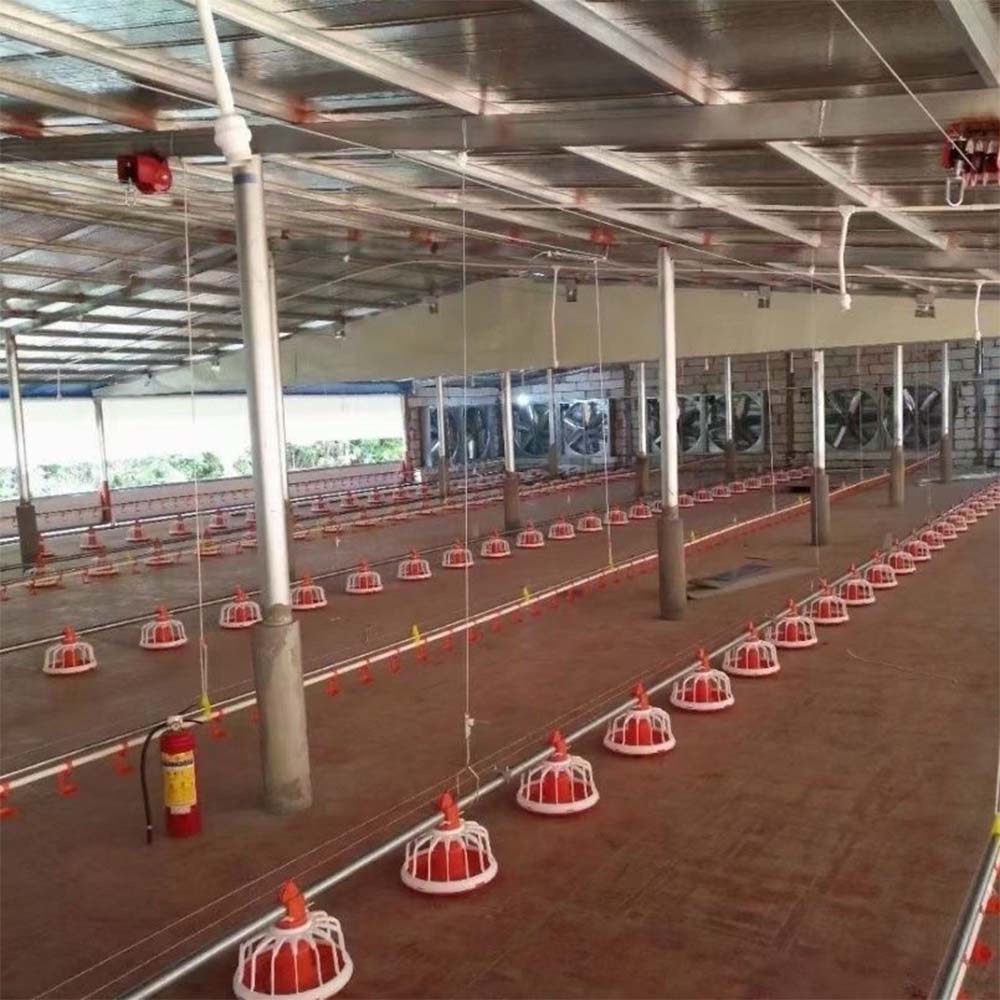 China's Poultry Cages Innovations for Enhanced Farming Efficiency and Productivity China's Poultry Cages Innovations for Enhanced Farming Efficiency and Productivity