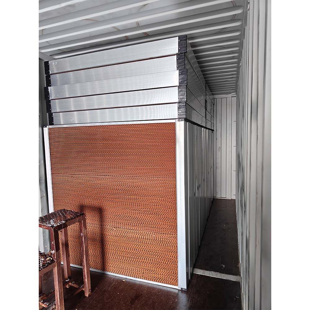 High-Quality Egg Tray Manufacturing Equipment from China for Sustainable Packaging Solutions