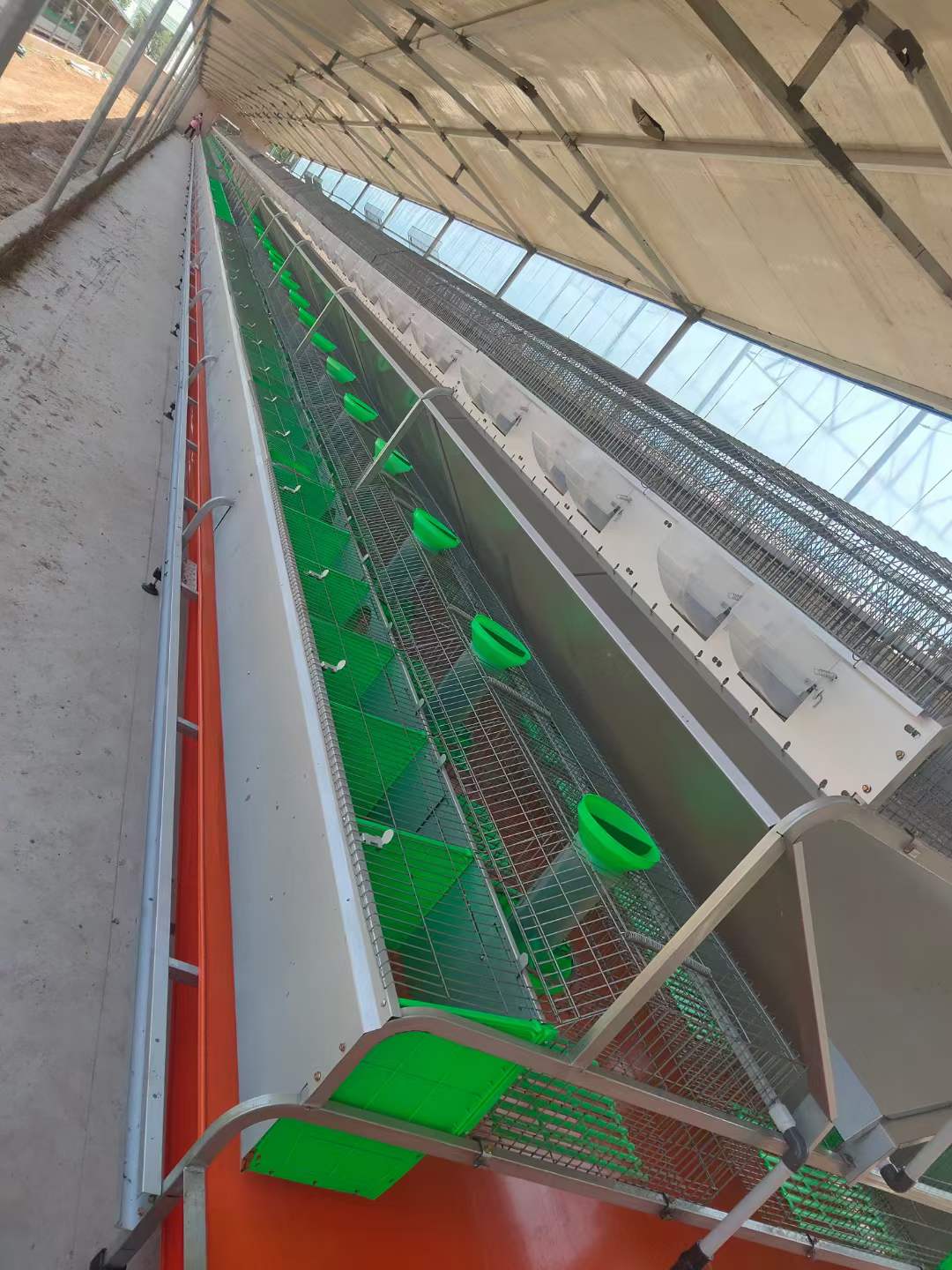 Innovative Solutions for Efficient Space Utilization in Stackable Chicken Farming Systems