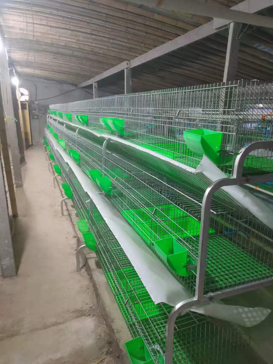 cages for layer poultry