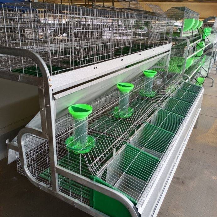 Layer poultry battery cages for efficient egg production in a confined space environment.