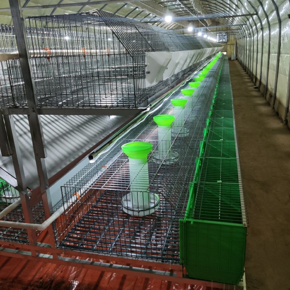 evaporative pad cooling evaporative pad cooling