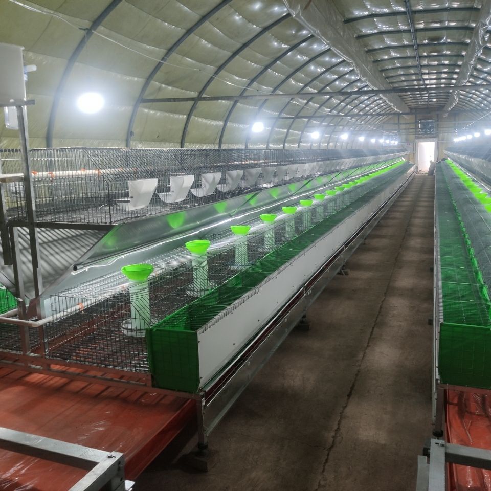 custom built rabbit cages