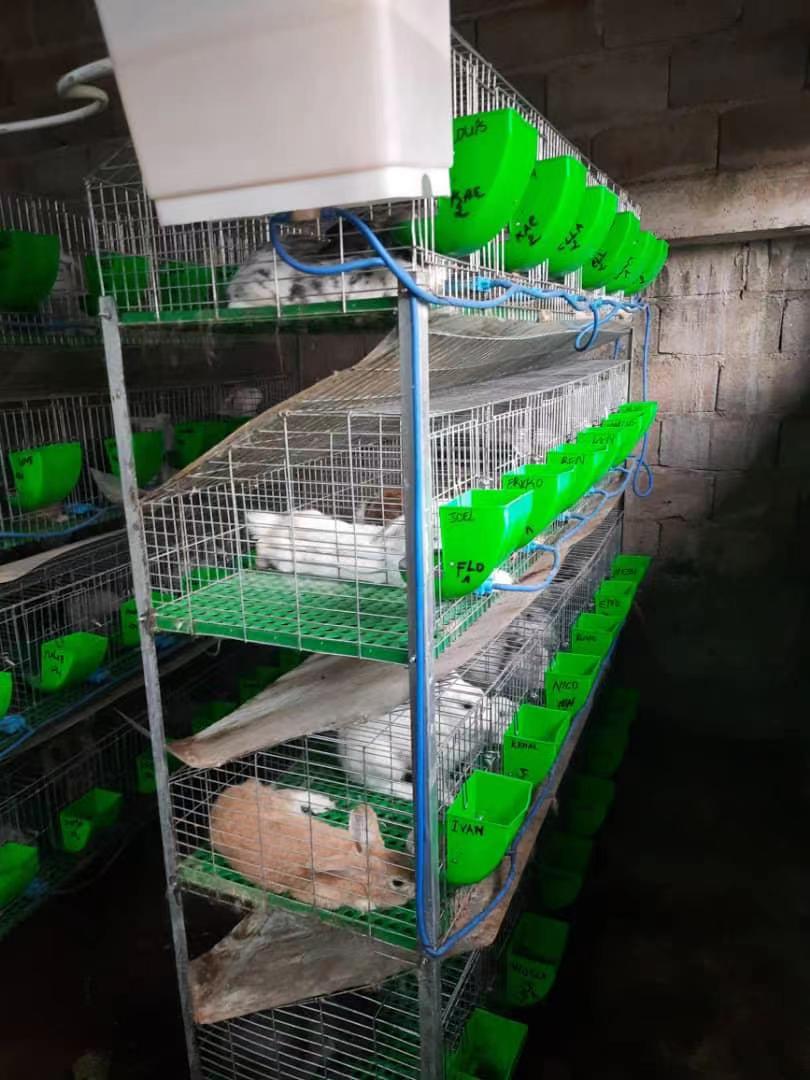 Egg Tray Production Machine Using Recycled Paper Pulp for Sustainable Packaging Solutions