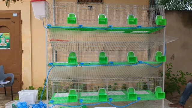 h type chicken cage