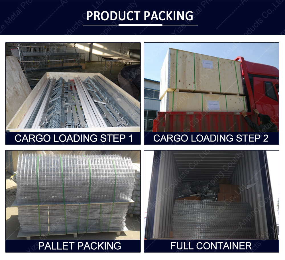 shrimp feed pellet machine