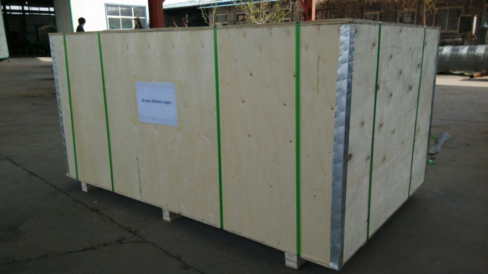 मोठ्या पोल्ट्री पिंजऱ्यांची आजच्या काळातील गरज आणि विकास