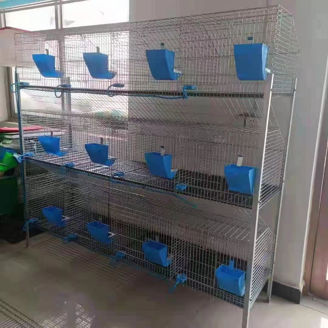 H type 3 or 4 tiers broiler chicken cage H type 3 or 4 tiers broiler chicken cage