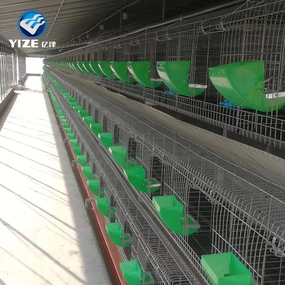 cage for broiler chicken cage for broiler chicken