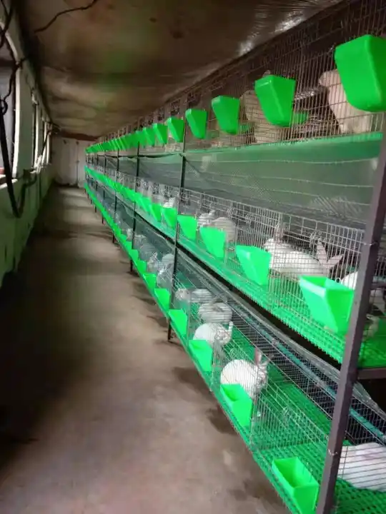 High-Performance Exhaust Fan Designed for Optimal Airflow and Ventilation in Large Spaces