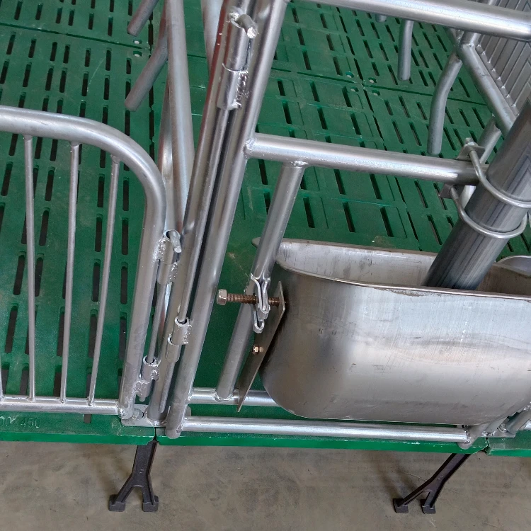 Innovative Solutions for Efficient Vacuum Packaging Machinery and Technology