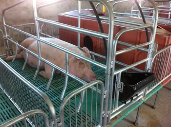 Animal Feed Production Using Efficient Hammer Mill Technology for Optimal Processing