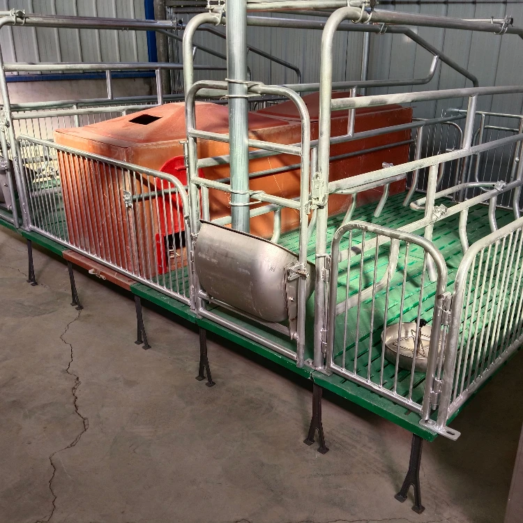 homemade quail plucker