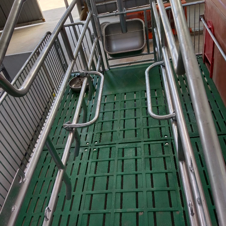 Animal Feed Pellet Production Equipment for Efficient Livestock Nutrition and Farm Management