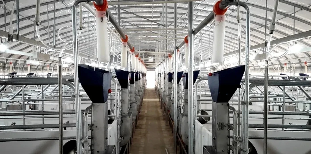 Efficient Sheep Feed Pellet Production Machine for Optimal Livestock Nutrition