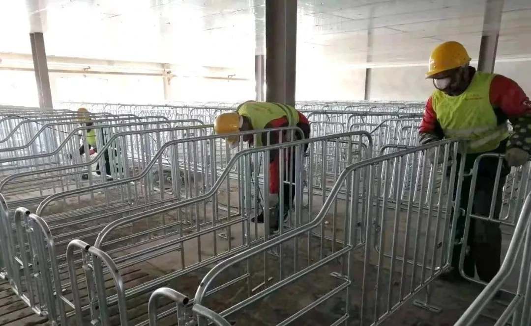 Клітки для курей-несучок на продаж в Україні