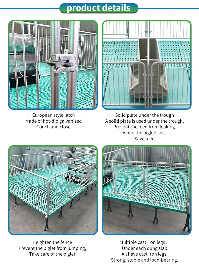 High-quality vacuum packaging machines for preserving food freshness and extending shelf life.