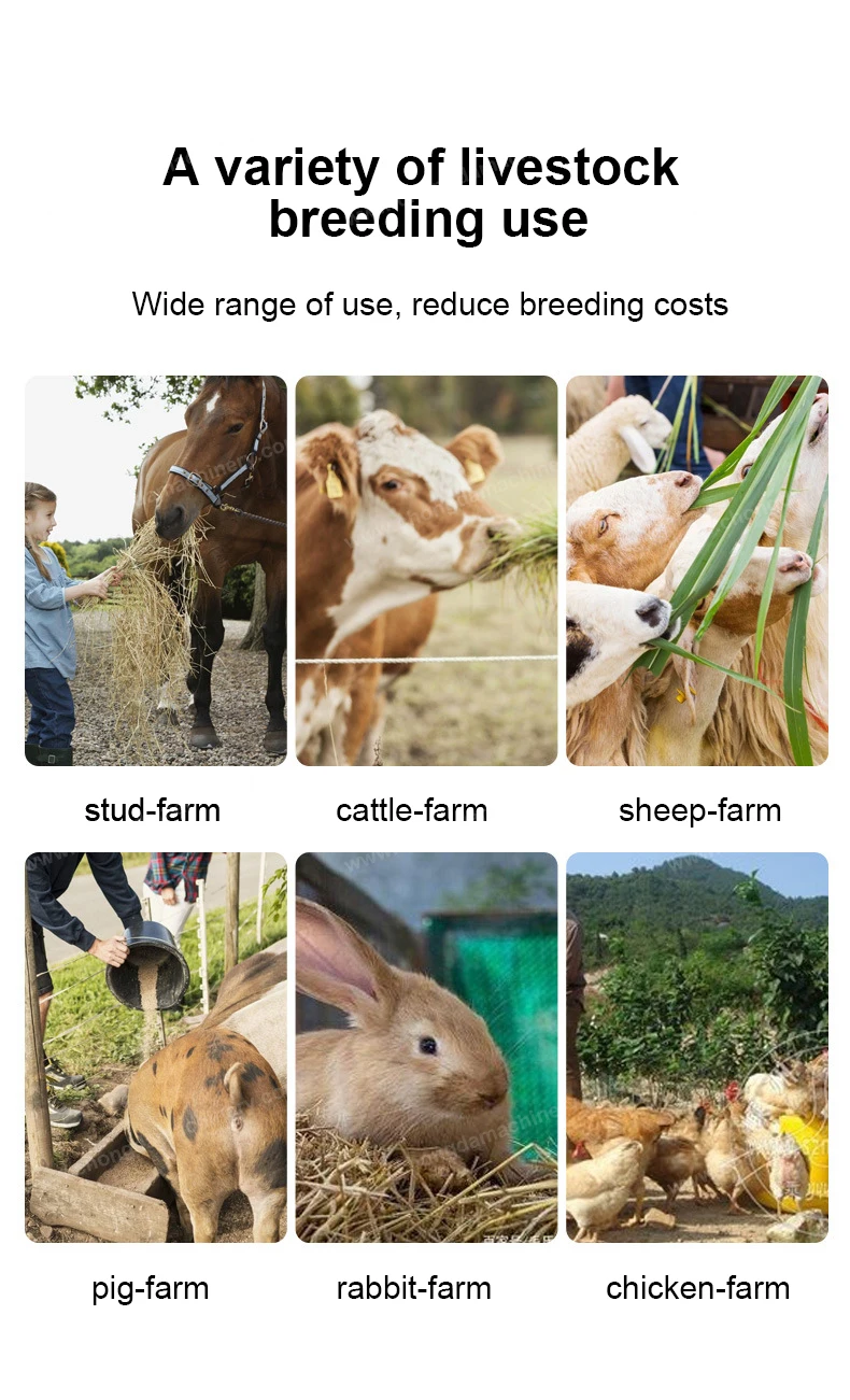 φορητή μηχανή συσκευασίας κενού