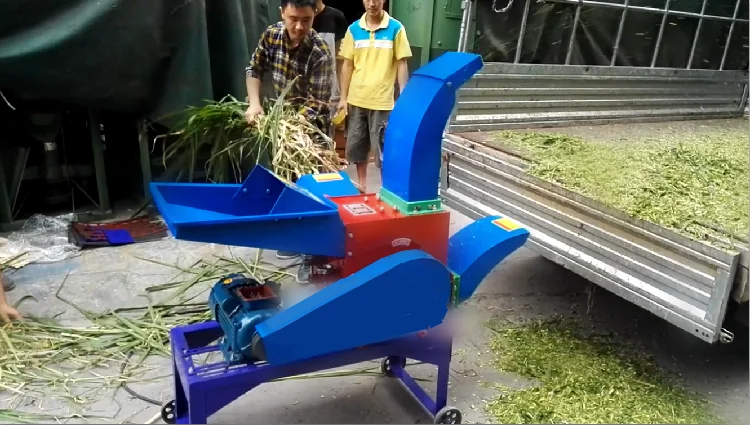 Automatic egg collecting system egg collection machine