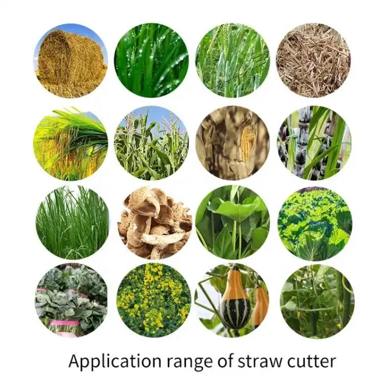 Feed Pellet Cooling Machine Feed Pellet Cooling Machine