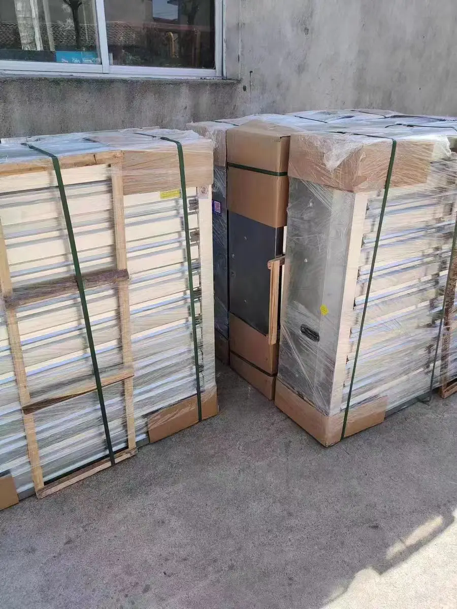 Baby Chickens in Cozy Cages for Optimal Comfort and Care