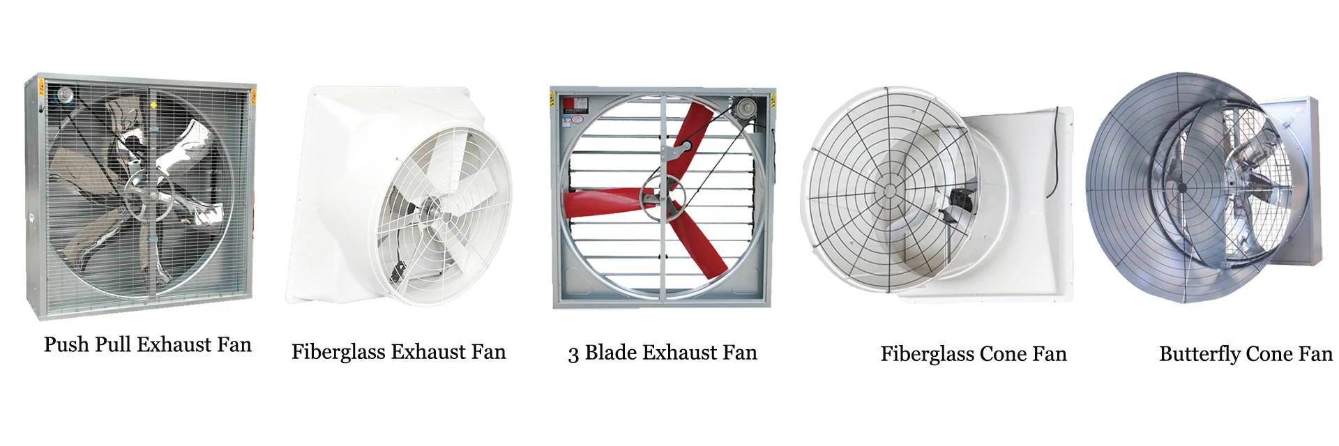 feed processing machine