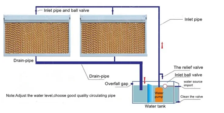 Chicken and the Enclosure of the Rabbit