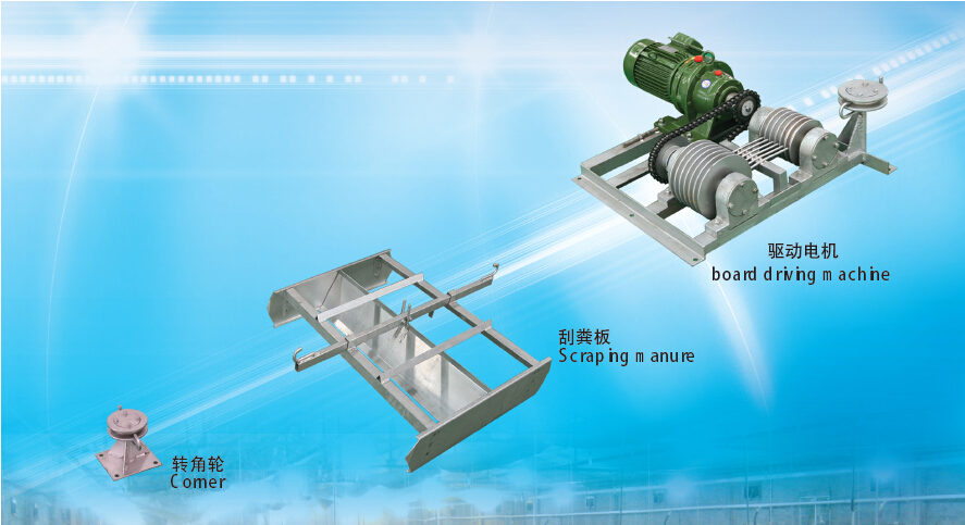 Industrial Automatic Egg Grading Machine / Egg Sorter / Egg Sorting Machine