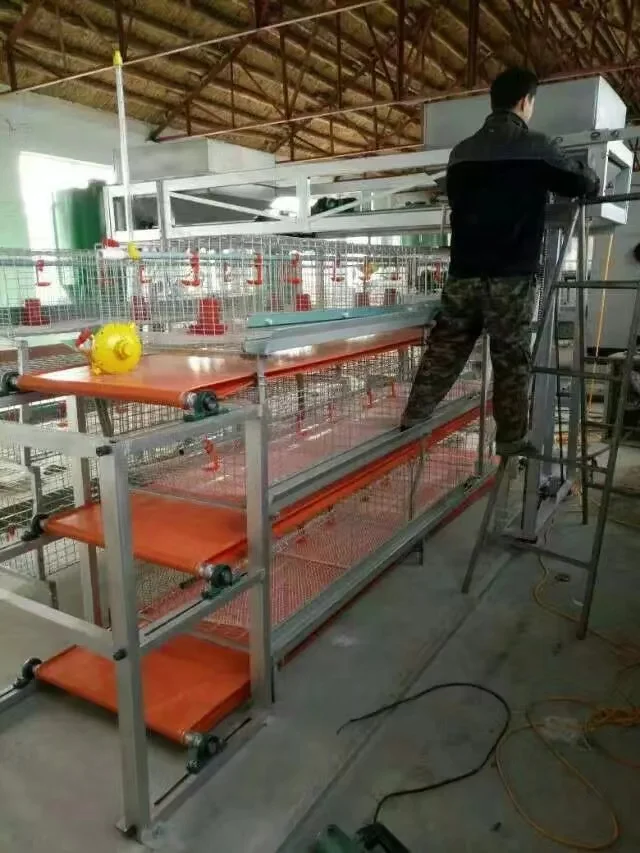 poultry feed processing machine