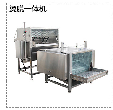 พัดลมดูดอากาศสัตว์ปีก