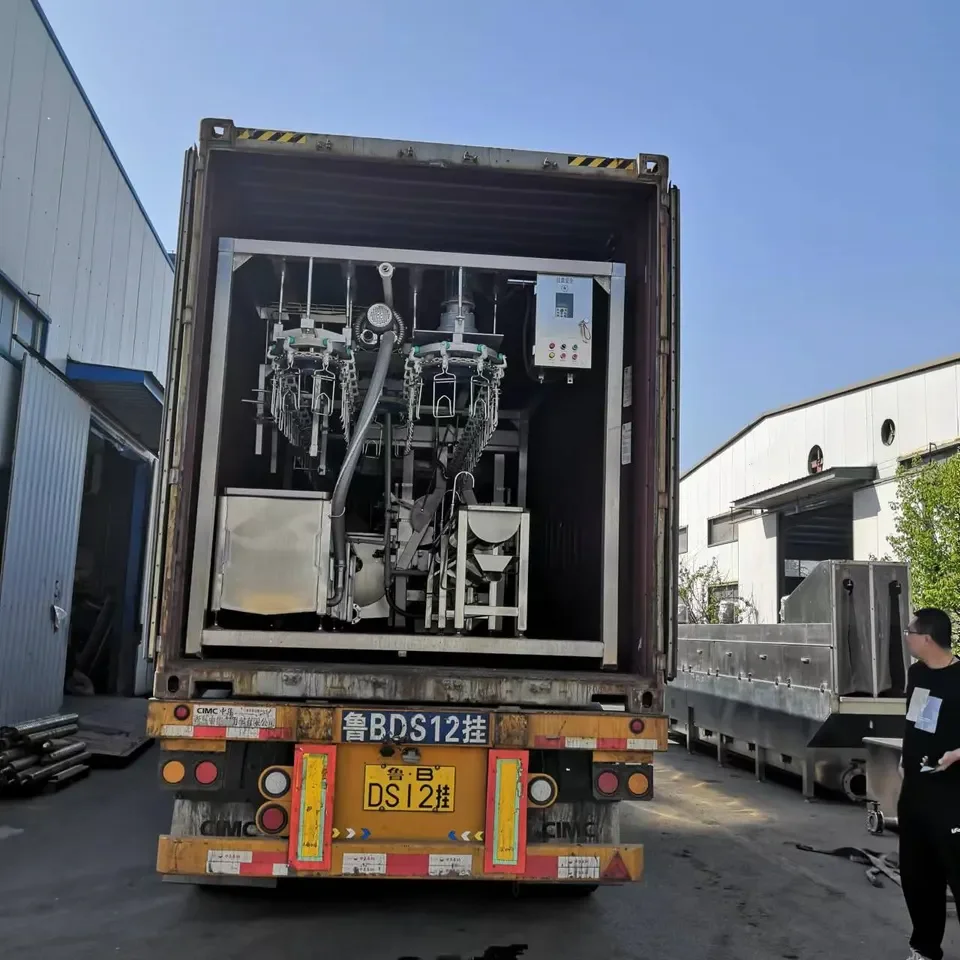 automatic layer chicken cage