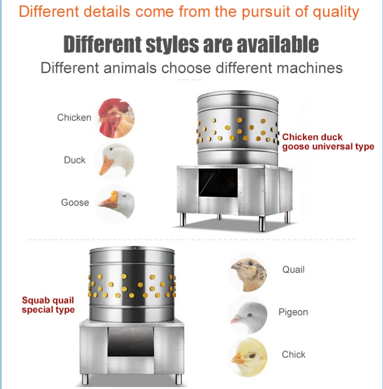 High-Quality Extruders for Producing Fish Feed Efficiently and Effectively