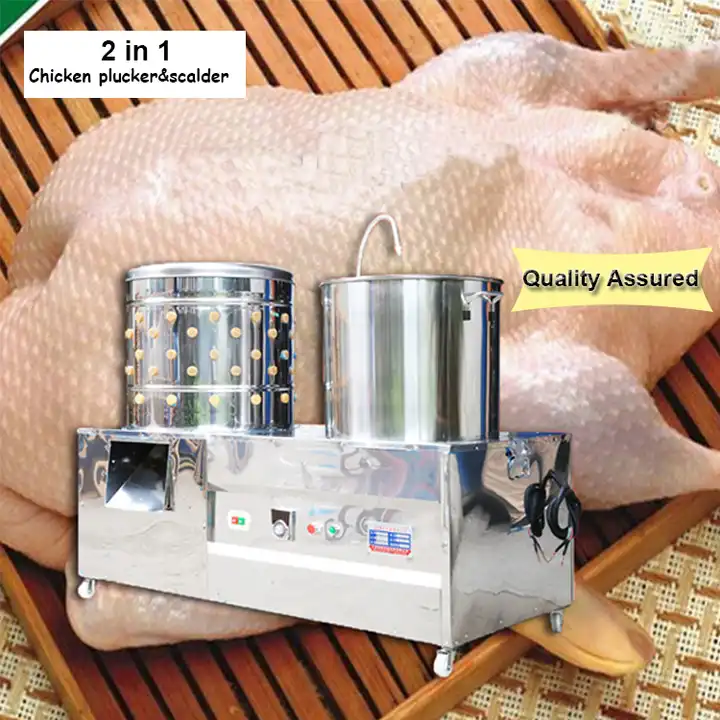 Efficient Housing Solutions for Commercial Egg-Laying Chickens in Layer Cages