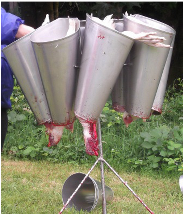 Multifunctional  Chaff Cutters Machine