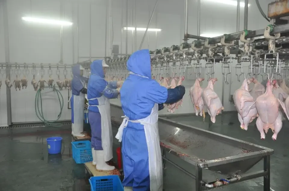 Innovative Techniques for Efficient Operation of Cross Cut Machines in Modern Manufacturing Processes