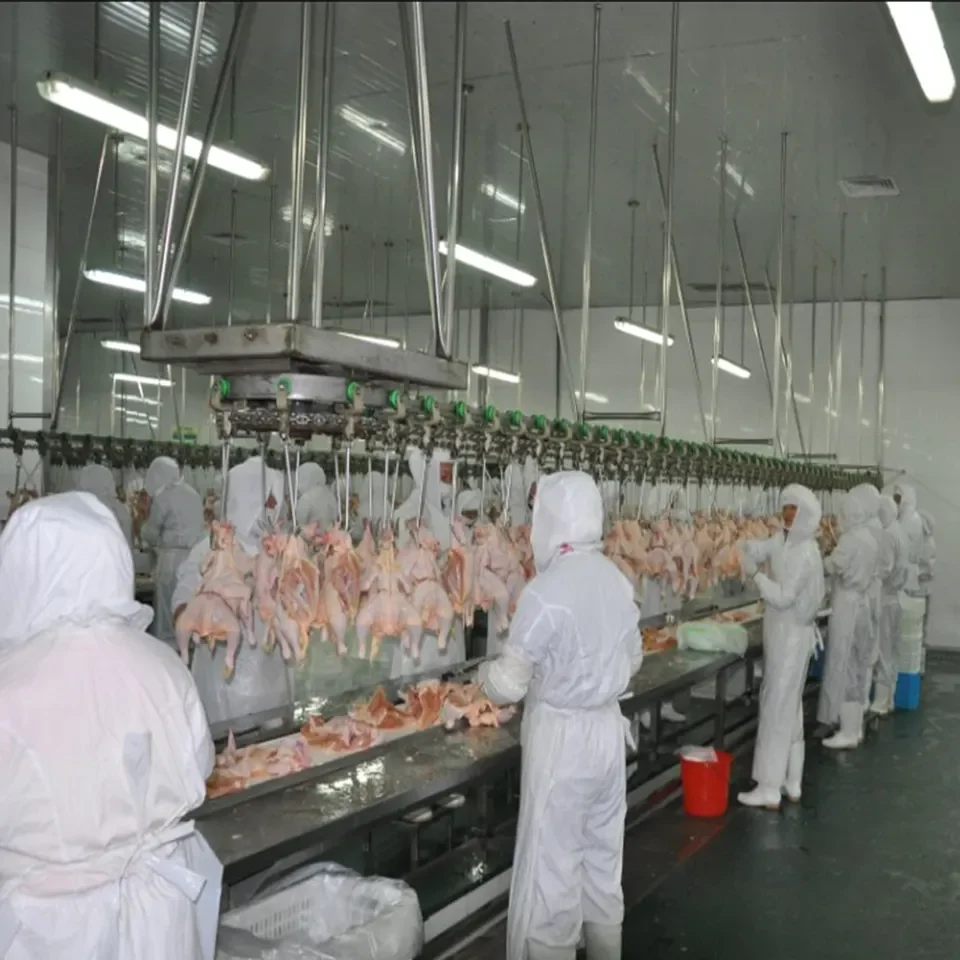 egg grading machine for sale