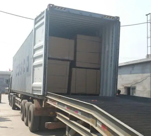 Automatic egg collecting system egg collection machine