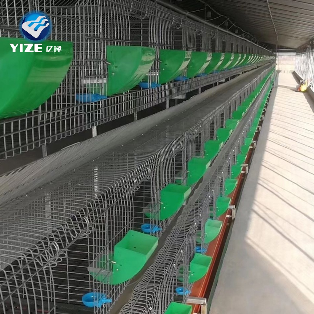 Pulp Egg Tray Production Equipment for Sustainable Packaging Solutions