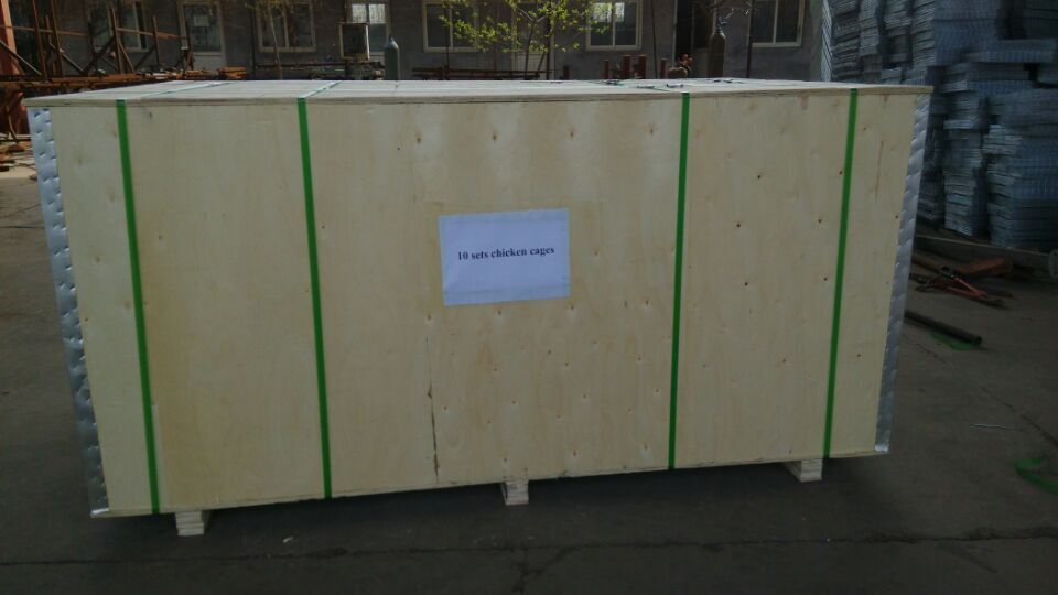 chicken wire for bird cage