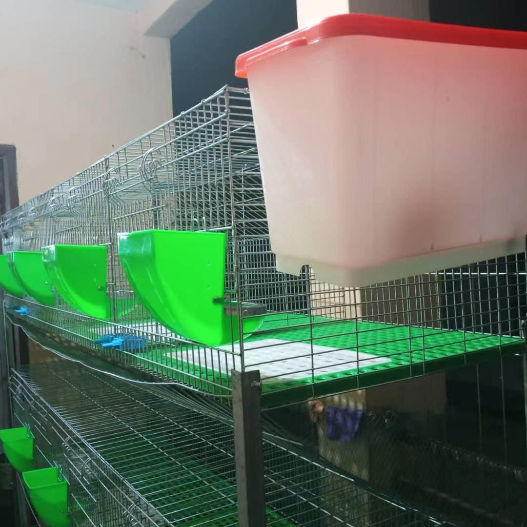 Egg Tray Production Equipment for Sustainable Packaging Solutions