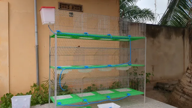 chicken coop waterer
